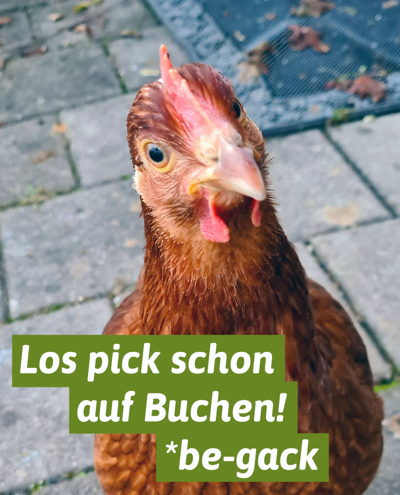 pick buchen